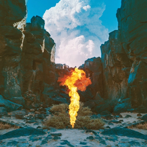 BONOBO / ボノボ / マイグレーション / MIGRATION