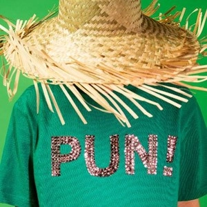 PunPunCircle / Pun!