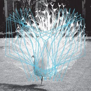 VALERIO TRICOLI / THOMAS ANKERSMIT / FORMA Ⅱ