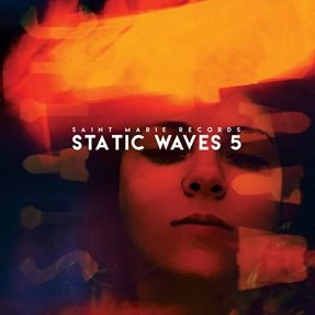 VARIOUS / ヴァリアス / スタティック・ウェイヴズ 5 / STATIC WAVE 5