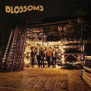 BLOSSOMS (UK ROCK) / ブロッサムズ / BLOSSOMS