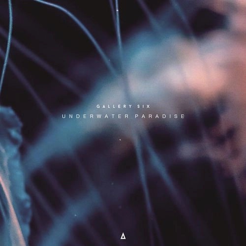 GALLERY SIX / UNDERWATER PARADISE
