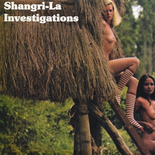 MYSTIC JUNGLE / ミスティック・ジャングル / SHANGRI LA INVESTIGATION