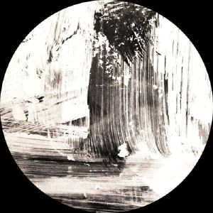 NEUE GRAFIK / ニュー・グラフィック / WOLFEP038