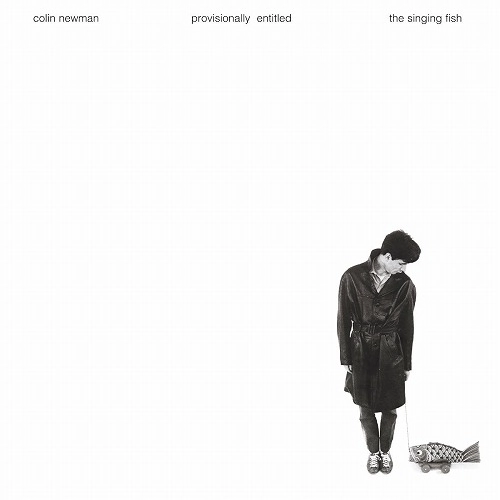 COLIN NEWMAN / コリン・ニューマン / PROVISIONALLY ENTITLED'(LP)