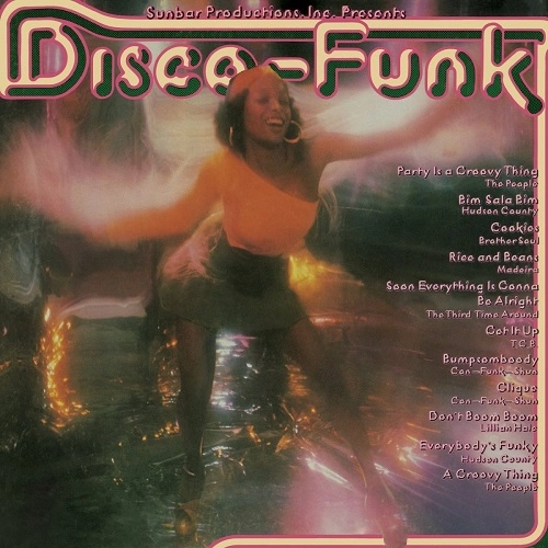 V.A. (DISCO-FUNK) / DISCO-FUNK