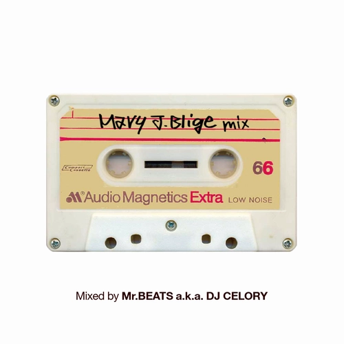 MR.BEATS aka DJ CELORY / ミスタービーツ DJセロリ  / Mary J. Blige Mix