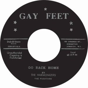 HARMONIZERS / GO BACK HOME