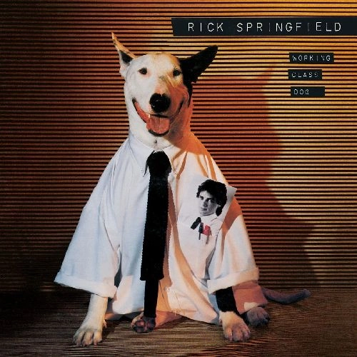 RICK SPRINGFIELD / リック・スプリングフィールド / WORKING CLASS DOG