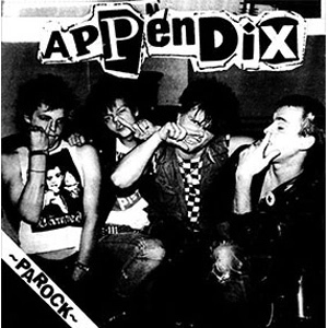 APPENDIX / アペンディックス / PAROCK (7")