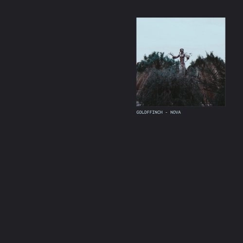 GOLDFFINCH / NOVA EP