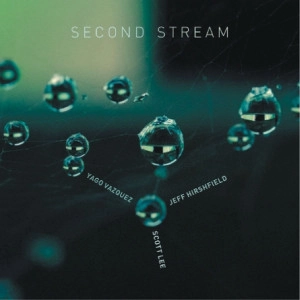 YAGO VAZQUEZ / ヤゴ・バスケス / SECOND STREAM