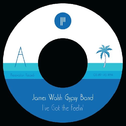 JAMES WALSH GYPSY BAND / ジェイムス・ウォルシュ・ジプシー・バンド / I'VE GOT THE FEELIN / CAVES OF ALTAMIRA