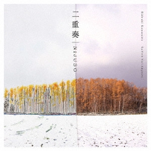 HIDEAKI KANAZAWA / 金澤英明 / 二重奏 / 2 JUUSOU