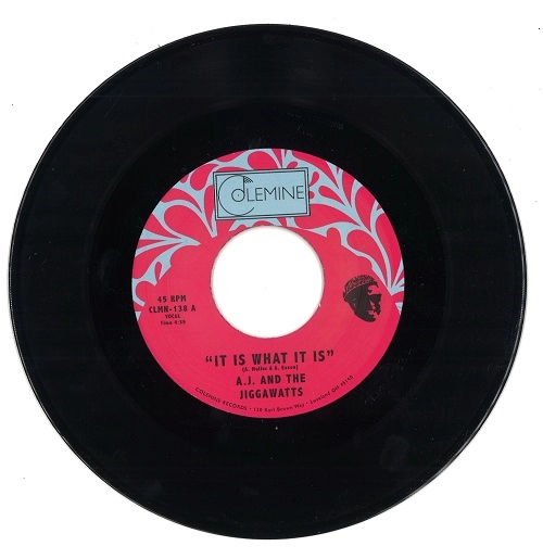 A.J. AND THE JIGGAWATTS / IT IS WHAT IT IS / PARTY MUSIC