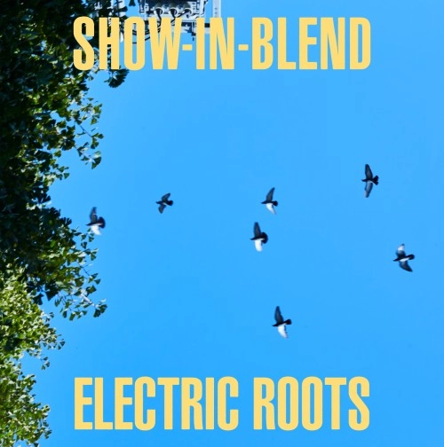 COFFEE & CIGARETTES BAND (DJ KENSEI & SAGARAXX) / Show-In Blend