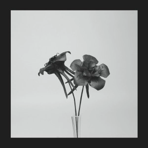 JLIN / ジェイリン / DARK LOTUS