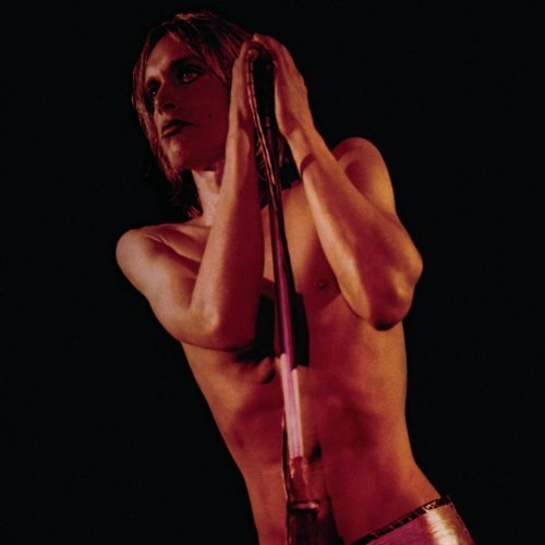 IGGY POP / STOOGES (IGGY & THE STOOGES) / イギー・ポップ / イギー&ザ・ストゥージズ / RAW POWER (2017 VINYL)