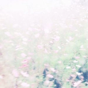 CHIHEI HATAKEYAMA + HAKOBUNE / THE FALL RISES / FALL RISES