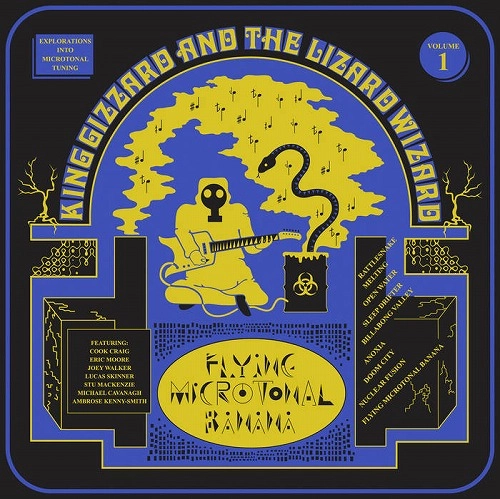 KING GIZZARD AND THE LIZARD WIZARD / キング・ギザード&ザ・リザード・ウィザード / FLYING MICROTONAL BANANA (LP)
