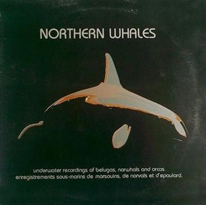 V.A. / オムニバス / NORTHERN WHALES
