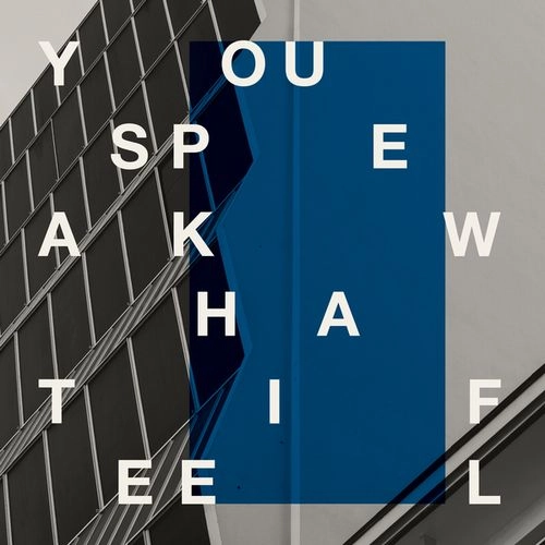 YOU SPEAK WHAT I FEEL (DJ SPRINKLES & SND) / MY GOOD FRIENDS TELL ME THAT