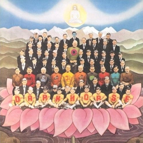 GEORGE HARRISON / ジョージ・ハリスン / DARK HORSE (180G LP)