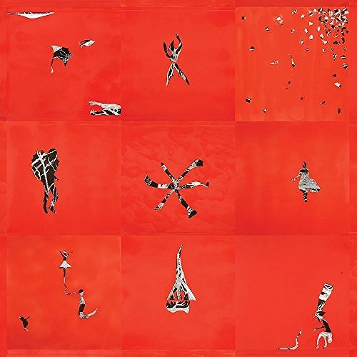 ANIMAL COLLECTIVE / アニマル・コレクティヴ / HOLLINNDAGAIN [VINYL] 