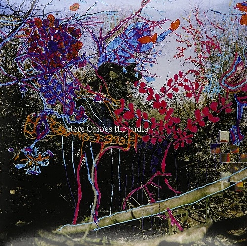 ANIMAL COLLECTIVE / アニマル・コレクティヴ / HERE COMES THE INDIAN [VINYL] 