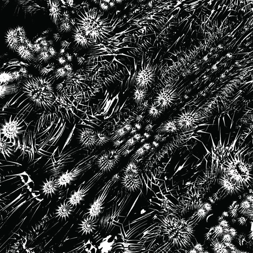 MOSAM HOWIESON / UNTITLED