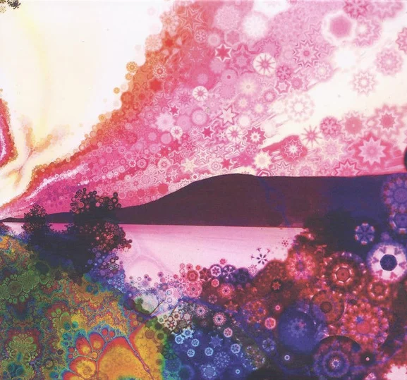 CHRIS ROBINSON BROTHERHOOD / クリス・ロビンソン・ブラザーフッド / PHOSPHORESCENT HARVEST