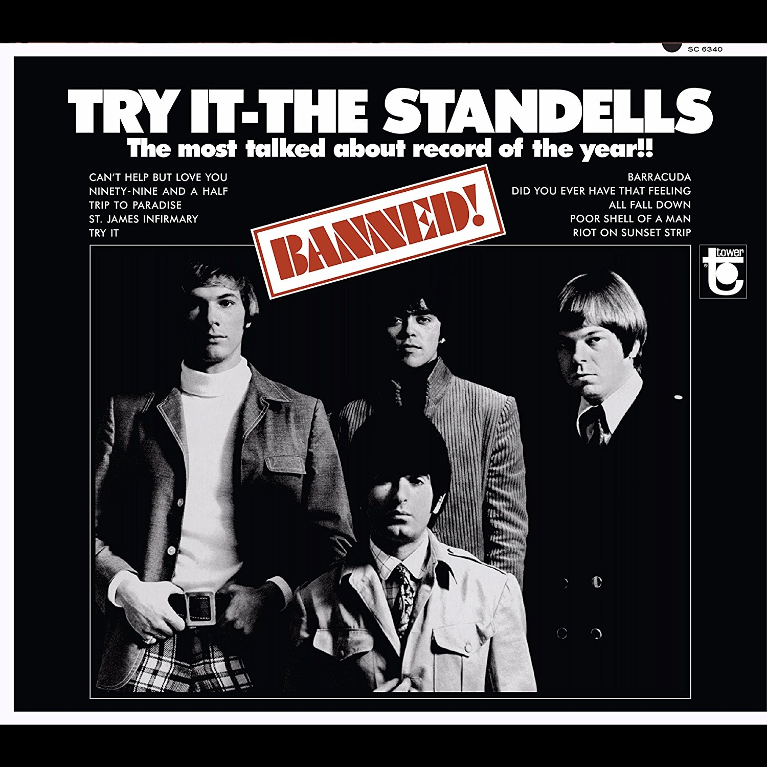 STANDELLS / スタンデルズ / TRY IT