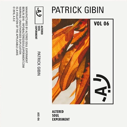 PATRICK GIBIN AKA TwICE FEAT.KAIDI TATHAM / #06 ALTERED SOUL EXPERIMENT