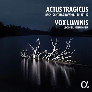 VOX LUMINIS / ヴォクス・ルミニス / J.S.バッハ: 最初期の教会カンタータ ～BWV.12, BWV.131, BWV.106, BWV.151～