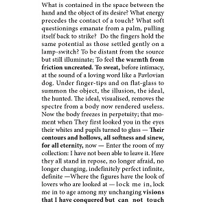 CONTOUR / YEAR OF THE HUNTER