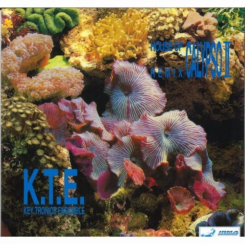 KEY TRONICS ENSEMBLE / HOUSE OF CALYPSO