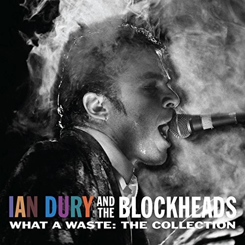 IAN DURY & THE BLOCKHEADS / イアン・デューリー&ザ・ブロックヘッズ / WHAT A WASTE
