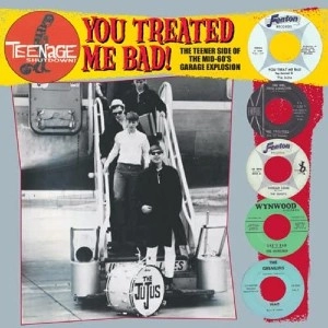 V.A. (TEENAGE SHUTDOWN) / YOU TREATED ME BAD THE TEENER SIDE OF THE MID 60'S GARAGE EXPLOSION