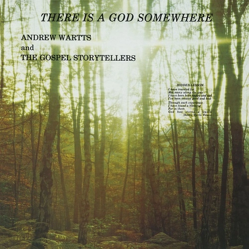 ANDREW WARTTS & THE GOSPEL STORYTELLERS / THERE IS A GOD SOMEWHERE