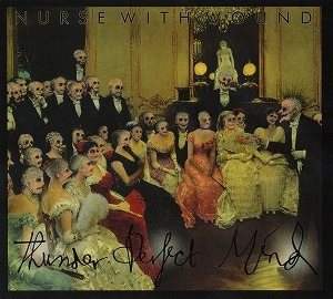 NURSE WITH WOUND / ナース・ウィズ・ウーンド / THUNDER PERFECT MIND (2CD)