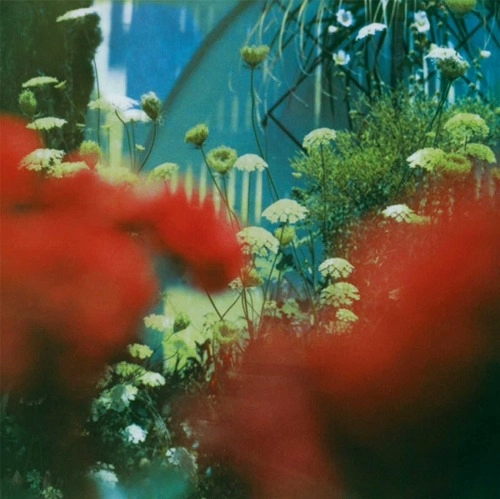 PULLED APART BY HORSES / プルド・アパート・バイ・ホーセズ / THE HAZE