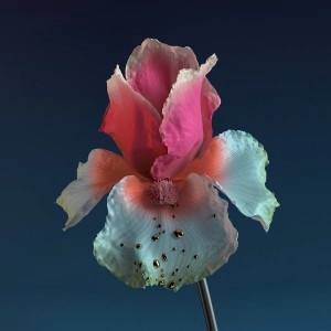 FLUME / TINY CITIES FEAT. BECK (LINDSTROM & PRINS THOMAS REMIX)