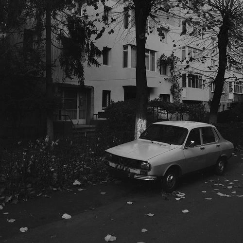 ANDU SIMION / BRAINHACK EP