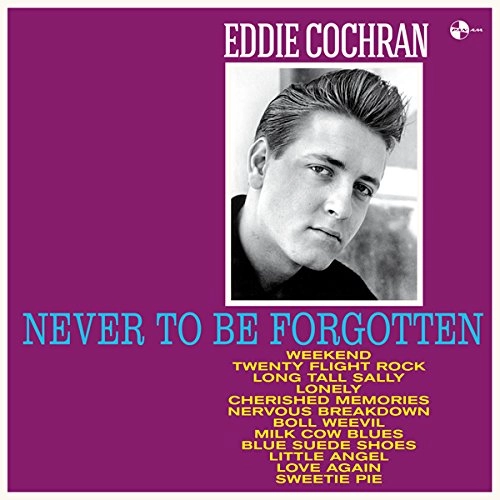 EDDIE COCHRAN / エディ・コクラン / NEVER TO BE FORGOTTEN (180G)
