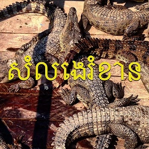 GONZO / SE ASIAN NOISE(S)