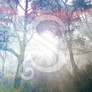 深海600m / 2nd ep.