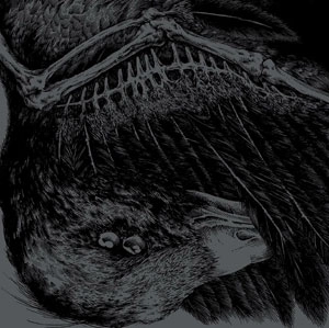 BROILER / TRIKORONA / SPLIT BIRD