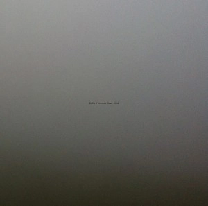 EINKA & TERRENCE DIXON / VOID