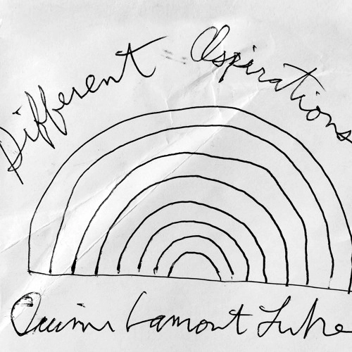 QUINN LAMONT LUKE / クイン・ラモント・ルーク / DIFFERENT ASPIRATIONS/WOODSTOCK