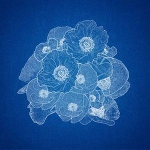 THE GATHERING (METAL) / ザ・ギャザリング / BLUEPRINTS